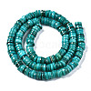 Natural Freshwater Shell Beads Strands X-SHEL-Q024-001D-2