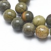 Natural Silver Leaf Jasper Beads Strands G-I254-04B-3