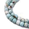 Natural Larimar Beads Strands G-F803-C01-03-4