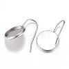 Non-Tarnish 304 Stainless Steel Earring Hooks X-STAS-G071-47P-1