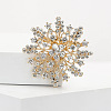 Alloy and Clear Glass Rhinestone Christmas Snowflake Brooch for Women PW-WG5C554-01-2