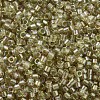 MIYUKI Delica Beads SEED-MY11-DB1766-3