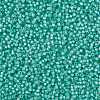 MIYUKI Round Rocailles Beads SEED-JP0009-RR0571-3