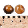 Natural Red Banded Agate Cabochons G-B082-07C-01-3