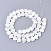 Natural Trochid Shell/Trochus Shell Bead Strands X-SSHEL-N034-67-2