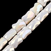 AB Color Plated Glass Beads Strands EGLA-P051-06B-B07-1