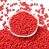 Rubberized Style Glass Seed Beads SEED-Z003-01E-2