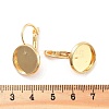 Rack Plating Brass Leberback Earring KK-C063-16G-3