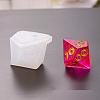 Silicone Dice Molds LS-DIY-L021-28-3
