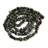 Natural African Turquoise(Jasper) Beads Strands G-F794-A01-3