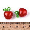 Korea Acrylic Pendants LS-X-OACR-L009-H02-2