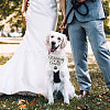Cotton Dog's Kerchief AJEW-WH0503-091-7