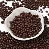 6/0 Opaque Baking Paint Glass Seed Beads SEED-M012-02A-14-2