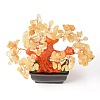 Natural Yellow Quartz Chips Money Tree Bonsai Display Decorations DJEW-B007-08C-3