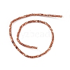 Natural Freshwater Shell Dyed Beads Strands SHEL-M018-14-02-2