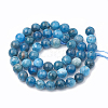 Natural Apatite Beads Strands G-S333-12mm-012-3