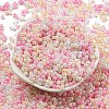 Glass Seed Beads X-SEED-K009-02B-17-2