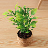 Platic Miniature Ornaments PW-WG84498-01-4
