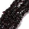 Natural Garnet Beads Strands F065-01-2