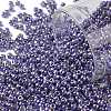 TOHO Round Seed Beads SEED-XTR11-PF0567-1