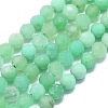 Natural Chrysoprase Beads Strands G-G106-C01-03-1