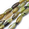 Natural Agate Beads Strands G-I245-11I-1