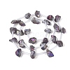 Electroplate Raw Rough Natural Amethyst Beads Strands G-Q610-06D-3