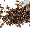 TOHO 6/0 Round Beads SEED-XTR06-0514-1