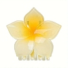 Plastic Claw Hair Clips PW-WG99DFF-03-1