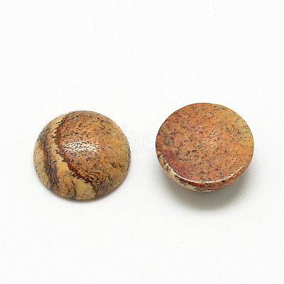 Natural Picture Jasper Cabochons G-R416-8mm-42-1