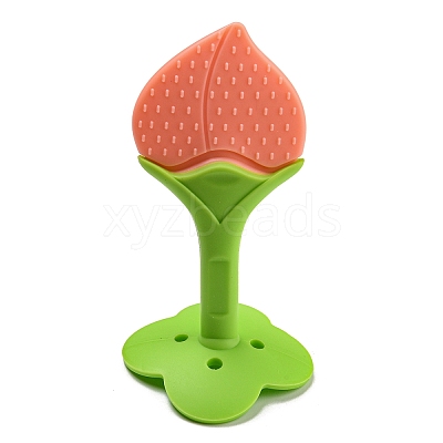 Silicone Fruit Teether and Toothbrush SIL-Q018-01A-1
