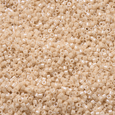 MIYUKI Delica Beads X-SEED-J020-DB0205-1