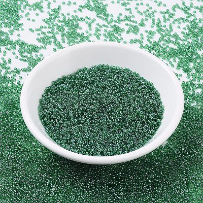 MIYUKI Round Rocailles Beads SEED-G007-RR0173-1