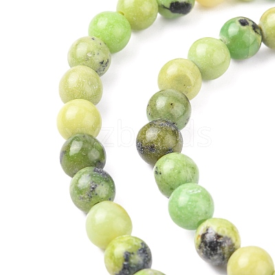 Natural Serpentine Beads Strands G-N166-6-1