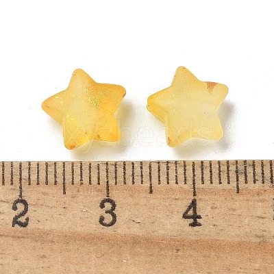 Frosted Acrylic Charms OACR-M023-04K-1