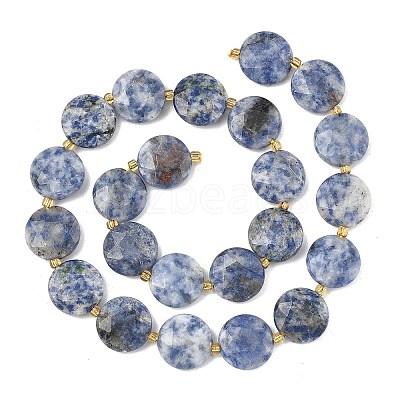 Natural Blue Spot Jasper Beads Strands G-A292-A10-01-1
