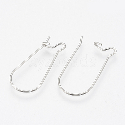 Tarnish Resistant 304 Stainless Steel Hoop Earrings STAS-T031-02-1