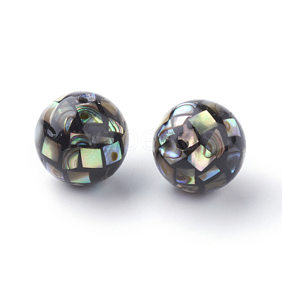 Natural Paua Shell Beads X-SSHEL-Q298-10mm-09-1