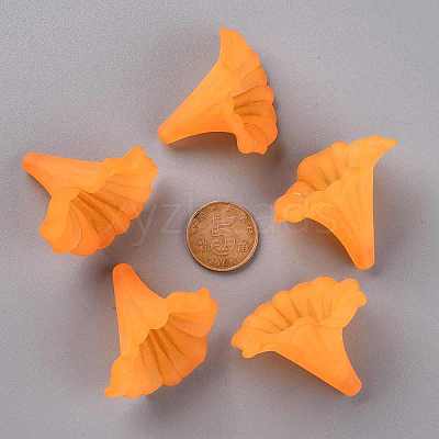 Transparent Acrylic Beads BSF796-C19-1