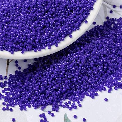 MIYUKI Round Rocailles Beads X-SEED-G009-RR0417-1