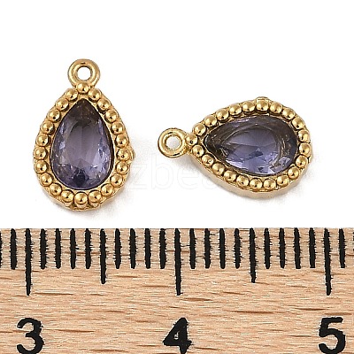 Ion Plating(IP) 304 Stainless Steel Micro Pave Cubic Zirconia Charms STAS-K256-20G-02-1