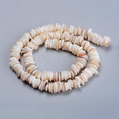 Natural Freshwater Shell Beads Strands X-SHEL-D078-01B-1