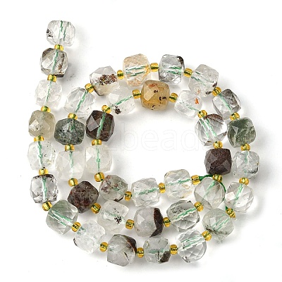 Natural Green Lodolite Quartz/Garden Quartz Beads Strands G-Q010-A18-01-1