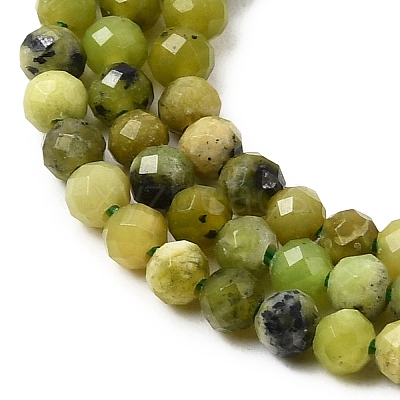 Natural Serpentine Beads Strands G-P603-C-3mm-06-1