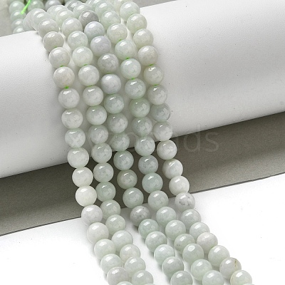 Natural Myanmar Jadeite Beads Strands G-L595-C01-01B-1