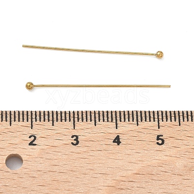 304 Stainless Steel Head Pins STAS-Z178-17G-01-1