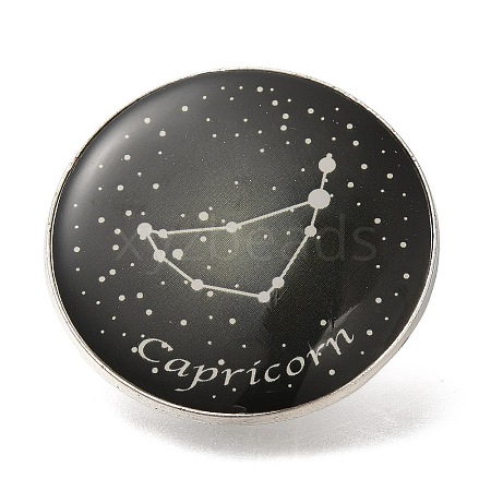 Twelve Constellation Creative Alloy Badges Constellation Brooches JEWB-S033-01P-J-1