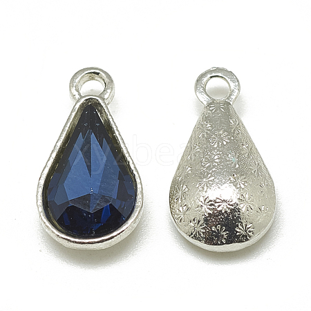 Alloy Glass Pendants PALLOY-T029-8x13mm-13-1