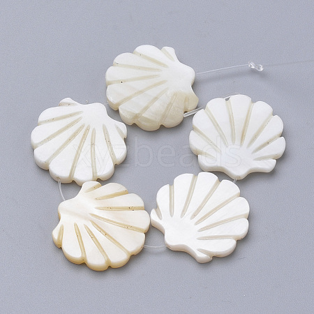 Natural Freshwater Shell Beads SHEL-T007-05-1