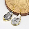 Golden Tone Brass Natural Druzy Geode Agate Dangle Earrings EJEW-M191-02-1